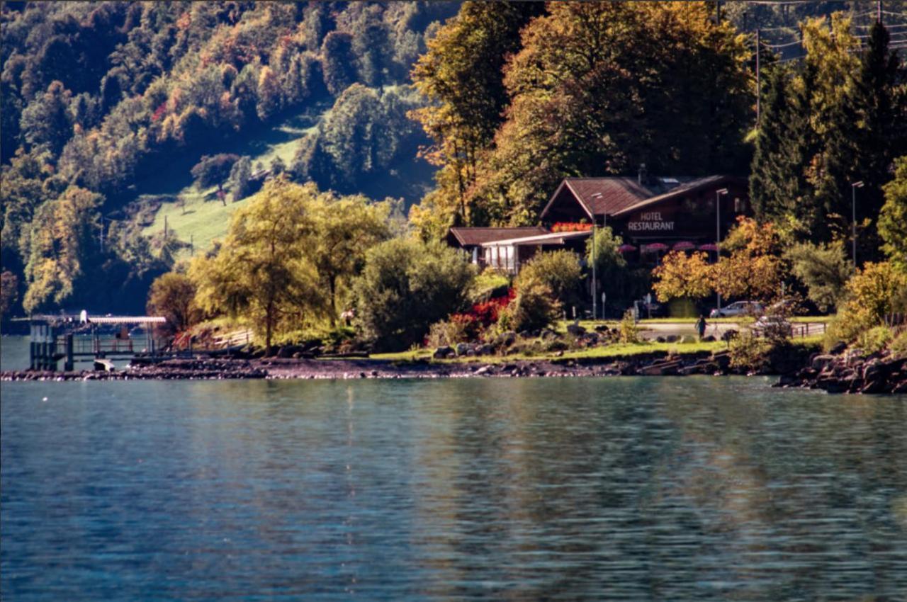 Hotel Wildbach Brienz Brienz  Bagian luar foto