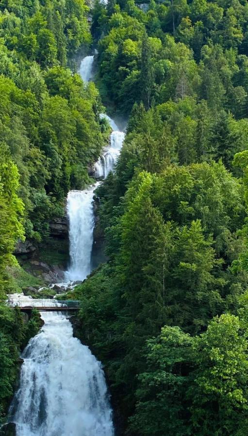 Hotel Wildbach Brienz Brienz  Bagian luar foto